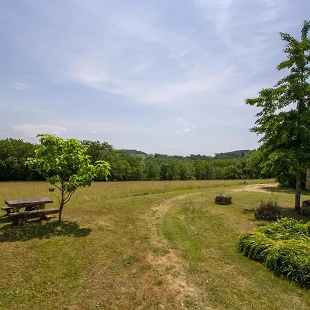 Holiday home Maison En Pleine Nature Avec Piscine, Wifi Et Parking - Perigord Noir - Fr-1-616-351 Sergeac